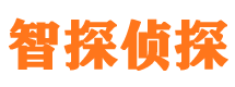 德清市私人侦探